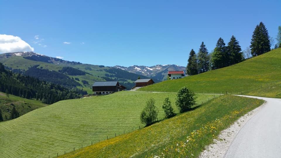 Haus Am Sonnberg Villa Maria Alm am Steinernen Meer Exteriör bild